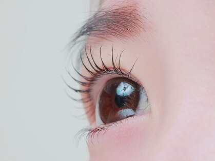 フルール(fleur)の写真