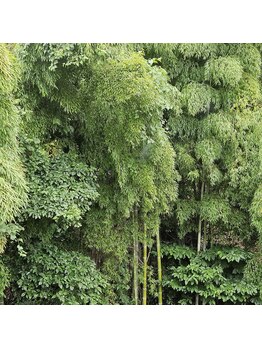 チャンス(CHANCE)/サロンからの風景