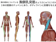 凪 横浜の雰囲気（自律神経バランスを整える肩首ラインから整える大切さで変わる）