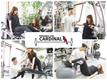 カーディナル(Cardinal)