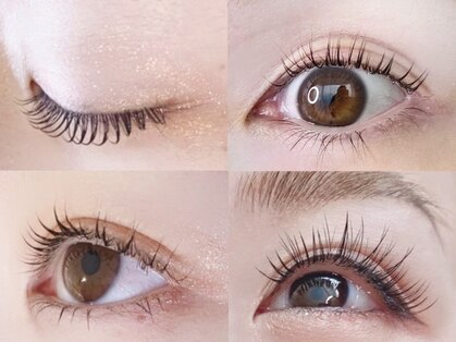 ニコ(nico)の写真