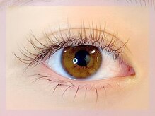 ミュウ(mieux)/フルカラー＊120本 下20本