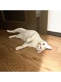 デザインケー 長町南店(designK)&nbsp;動物大好きです！
