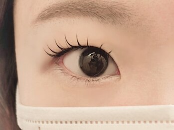 キャメル(camel)/【シングルラッシュ】100本