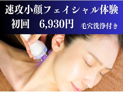 ヒトハダ(hitohada)の写真