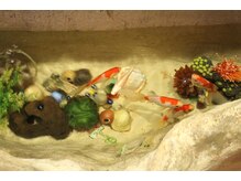 舒爽館 台湾式マッサージ/