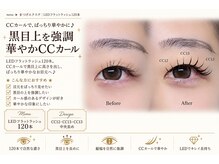 サロン ド ブランシェ(Salon de Branchee)/人気★LEDフラットラッシュ120本