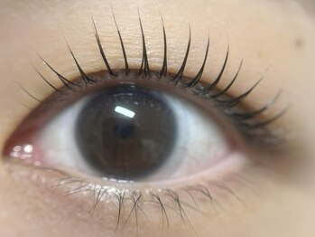 メロー(mellow)/まつげパーマ