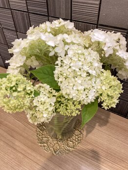 サロンド美美(Salon de vivi)/