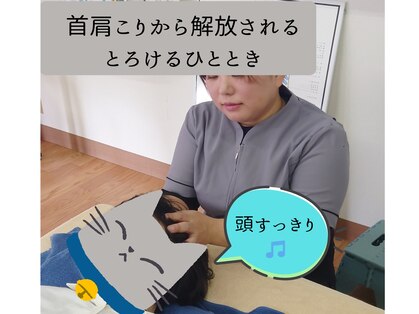 フェリス(Felis)の写真