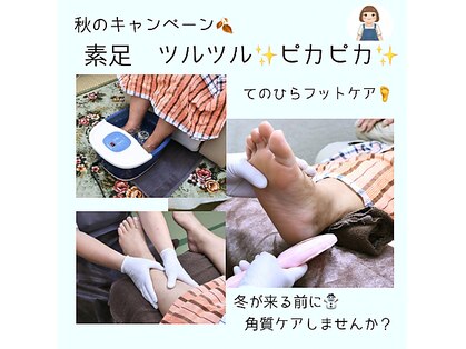 鶇(tsugumi)の写真