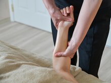 パピヨン/手先まで行き届くトリートメント