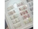 フェイバリット(Favorite)の写真