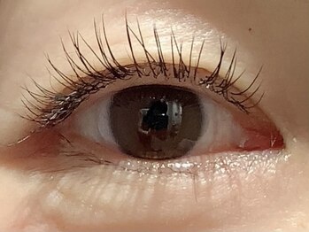 カラン 焼津店(CALIN)/フラットラッシュ120本