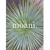 モアニ(moani.)ロゴ