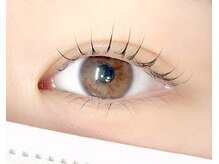 シエル 羽生店(Ciel)/ラッシュリフトカール上下