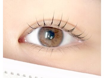 シエル 羽生店(Ciel)/ラッシュリフトカール上下