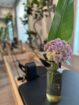 セバス 赤坂見附(SEBAS)/アジサイ