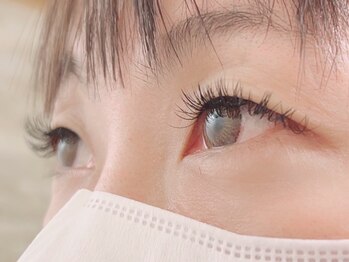 キャメル(camel)/【フラットラッシュ】200本