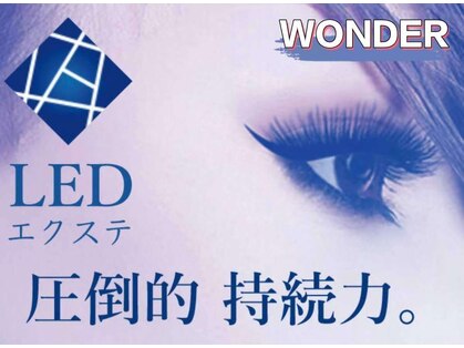 ワンダー(WONDER)の写真