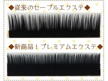 サロン ド ミニョン(Salon de Mignon)/フラットプレミアムセーブル