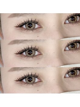 プリズム(PRISM)/フラットラッシュ