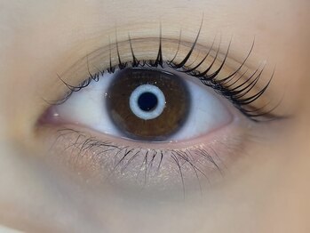 アイラッシュサロン ラコタ 銀座一丁目店(eyelash salon RACOTA)/ラッシュリフト