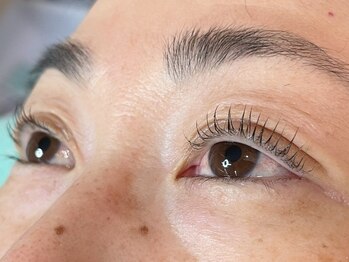 ウルカ アイラッシュ(uruka EYELASH)/ラッシュリフト