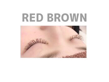 ジョリー(Jolie)/