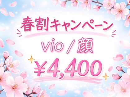 リズ(lis)の写真