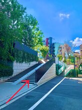 おこしんちゅ 渋谷 代々木公園/直進すると右手に階段があります