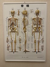 坂口カイロプラクティック整体院/院内写真