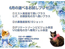 脱毛サロン リッカ(Lycka)の雰囲気（ミスト美容液・小鼻徹底脱毛10Shot・ピピジェル保湿から選択！）
