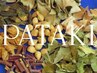 【7種類/体調お悩みで選べるHerbブレンド】沖縄産よもぎハーブ蒸し40分 