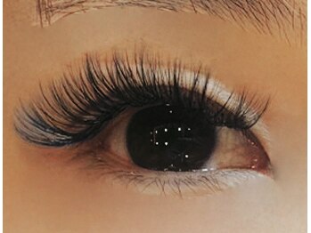 ノーファンデの樹 健康の丘/がっつりボリューム///