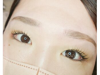 プレイド(PRADE)/ラッシュリフト&アイブロウ 