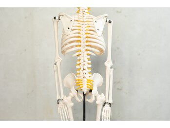 ファノーバ 奥沢店(FUNOVA)/整体/マッサージ/鍼灸/骨格矯正