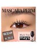 マスカラパーマ《BLACK tint》まつげパーマ＋ティントのset♪ 