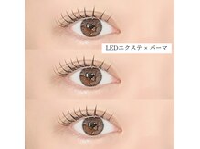 シーズントーキョー(SEASON Tokyo)/エクパーマ/エクパ