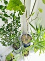 リノアドット(LiNOA.)&nbsp;植物大好きなのでサロンの中、植物多めです☆
