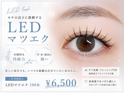 サニー 自由が丘 奥沢(Sunny)の写真
