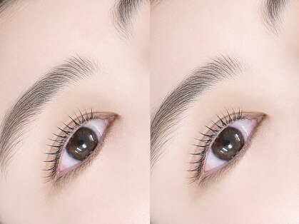 リュース(LYS)の写真