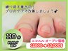 ベーシック☆目安：爪２枚【巻き爪補正！繰り返さない！】12800→10000円