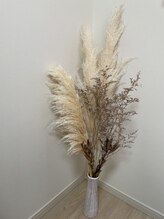 ソフィア(sofia)/店内