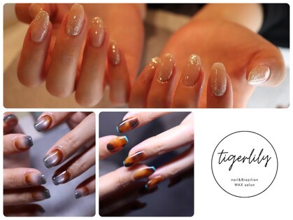 タイガーリリー(tiger lily)の写真