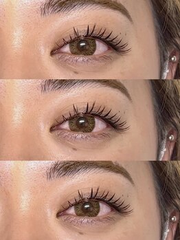 アジュメル(Ajumel)/フラット120本