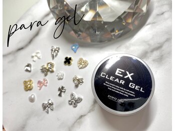 ベリール(Belire)/パラジェル/フィルイン/持ち込み