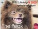 ザ ピーク(THE PEAK)の写真