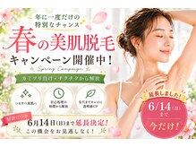ニコリー(NICOLY)