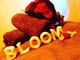 ブルーム(BLOOM)の写真